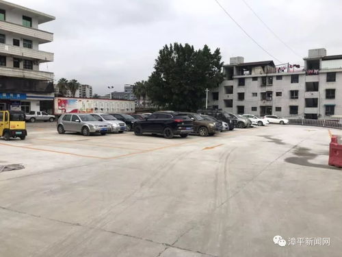 漳平市行政服務中心臨時停車場明日啟用 便民服務再升級