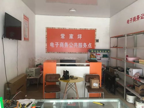 渭源縣電子商務公共服務中心2019年電子商務服務發展報告